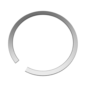 Constant Section Rings external